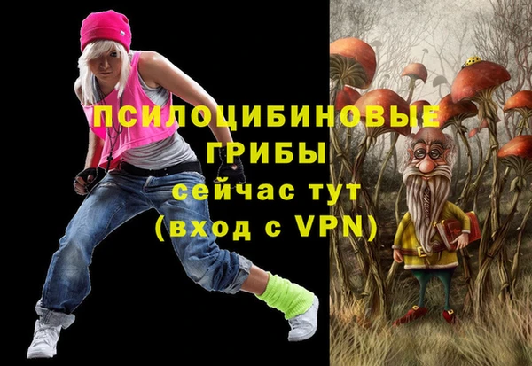 бошки Армянск